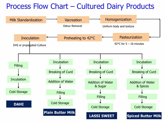 milk fermentation process
