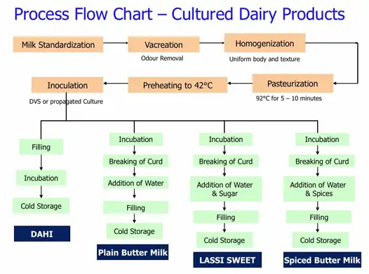 milk fermentation process