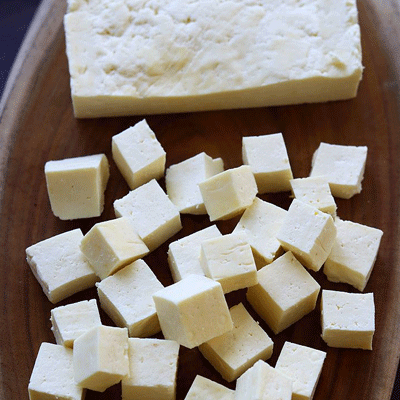 Paneer Processing Plant